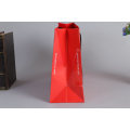 Supplier Coated Paperbag for Christmas Gift Promotion or Shopping